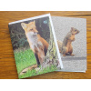 foxandsquirrel